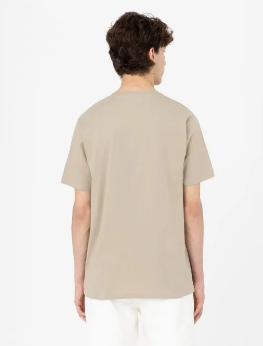 DICKIES - Mapleton Short Sleeve T-Shirt - Desert