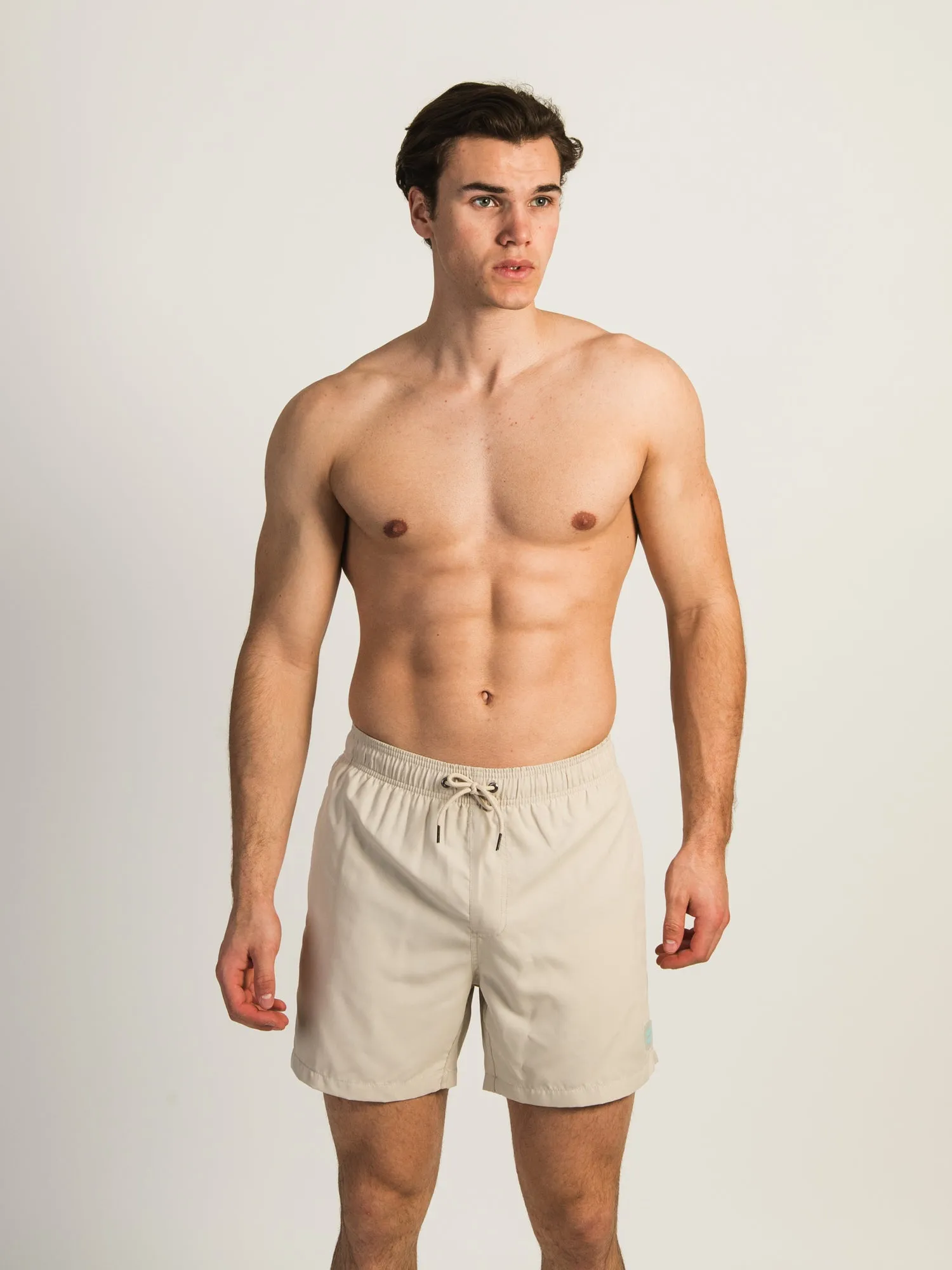 ISLAND HAZE TAUPE WAVE 5 VOLLEY SHORT